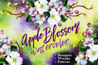 Apple Blossom Watercolor Illustrations Review