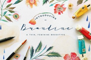 Brandine Script Amp: A Seller's Review