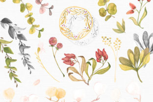 Greenery Watercolor Eucalyptus 2 Illustrations Review