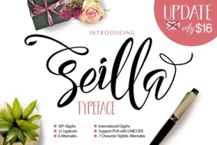 Seilla Script: A Script Amp for Local Brands