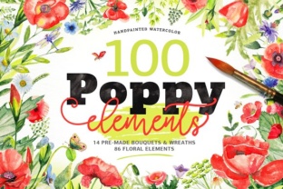 Watercolor DIY Poppy Pack Illustrations Review